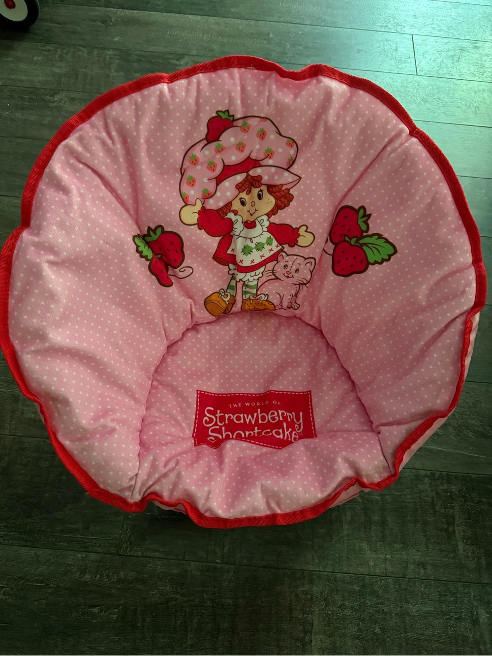 Strawberry Shortcake Pink Kids Round Plush Chair